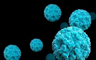 Норовирус: особенности, пути передачи и помощь при заражении