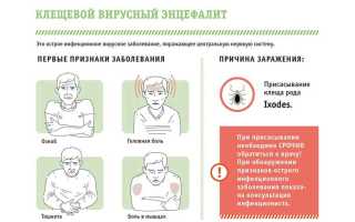 Энцефалит у детей. Причины, симптомы и лечение энцефалита