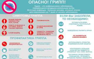 Грипп у ребенка. Причины, симптомы, лечение и профилактика гриппа у детей