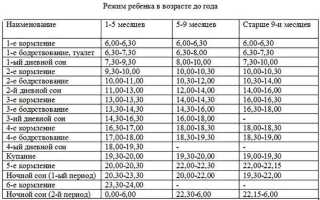 Режим дня ребенка в возрасте до одного года. Питание, прогулки, игры, сон