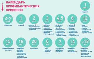 Календарь и таблица прививок для детей. Самые важные прививки для ребенка