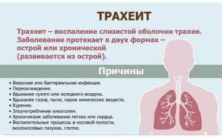 Трахеит у детей. Причины, симптомы, лечение и профилактика трахеита