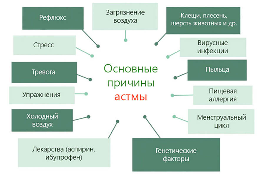 Причины развития астмы