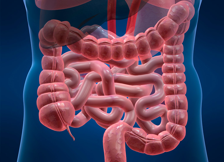 Боли в кишечнике