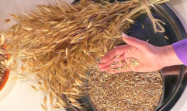 Диета для поджелудочной железы