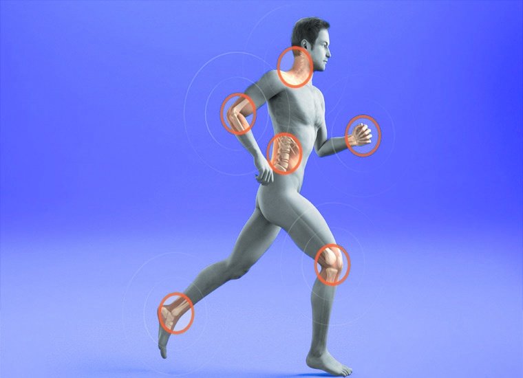 костно-мышечная система человека