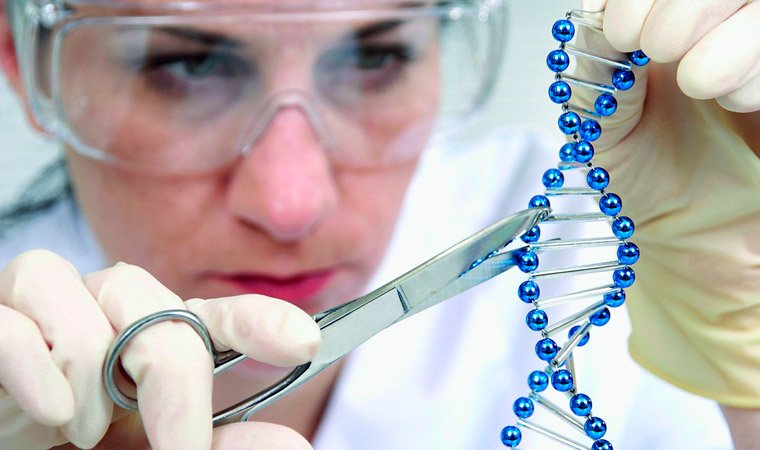 Методы диагностики генетика