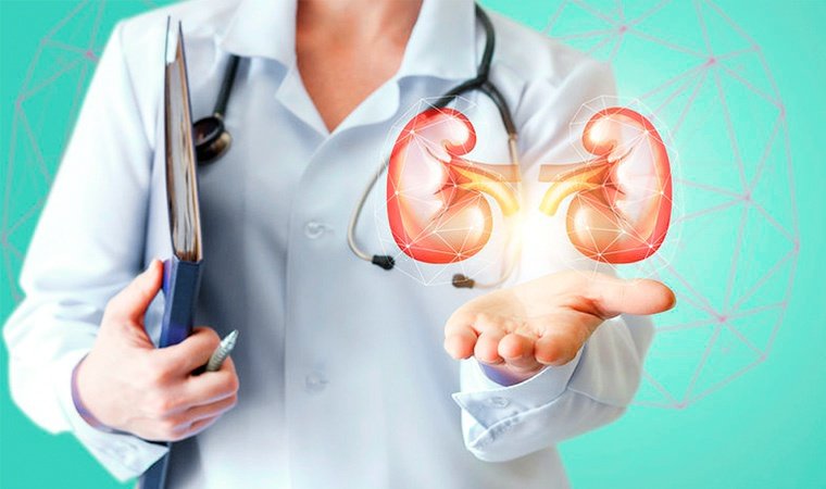 Нефролог-уролог