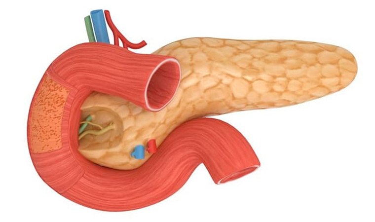 Поджелудочная железа
