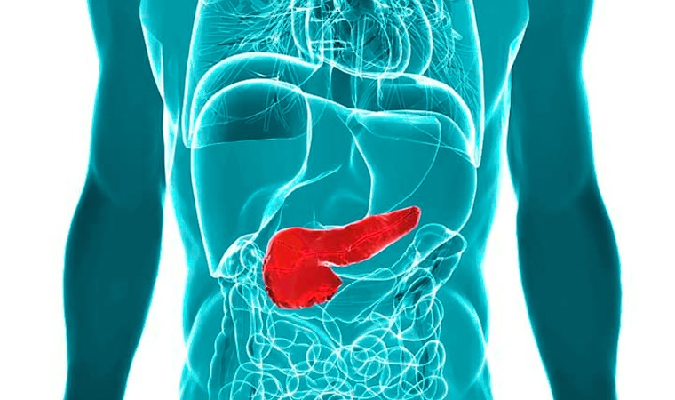 Поджелудочная железа