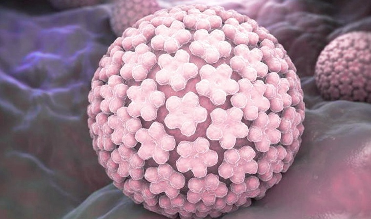 Причины папилллом