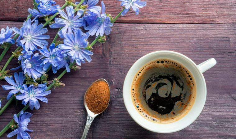 Цикорий для поджелудочной железы