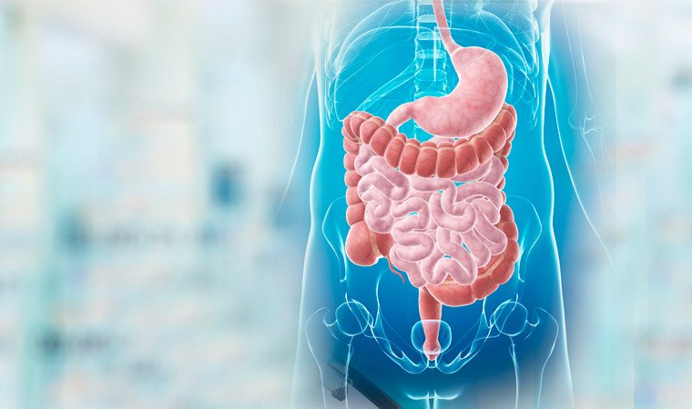 Врач лечащий кишечник