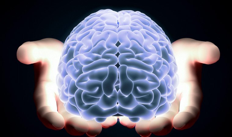 защита мозга