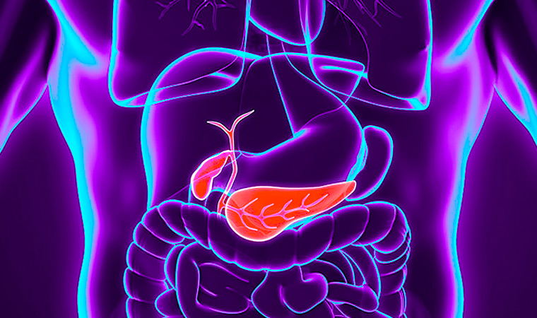 Желчный пузырь