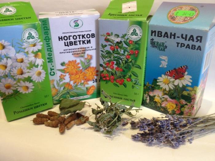 Лекарственные травы в аптеке