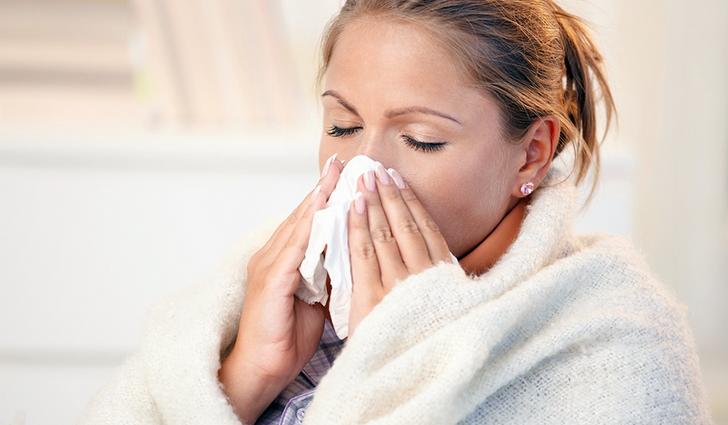 Лечебные свойства барсучьего жира