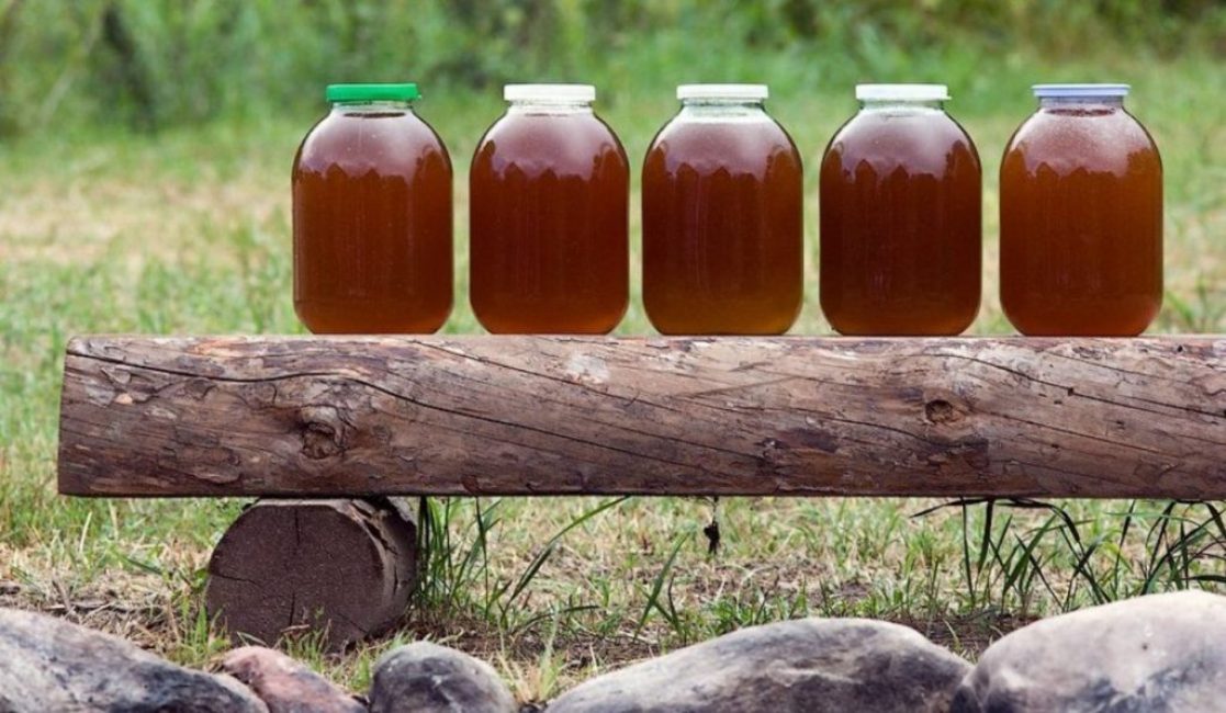 Мед с живицей