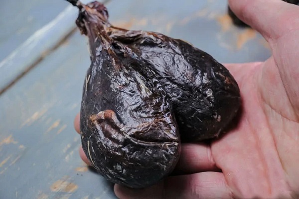 Бобровая струя в руках мужчины