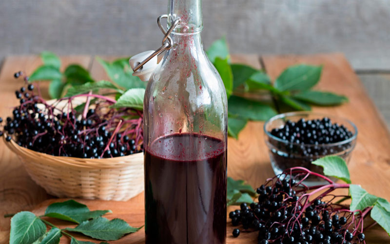 Рецепты применения бузины черной