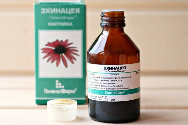 Настойка эхинацеи