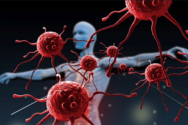 Вирусы и иммунитет