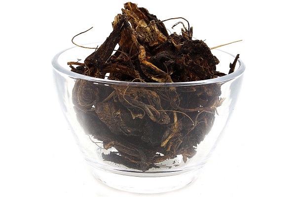 Корень девясила