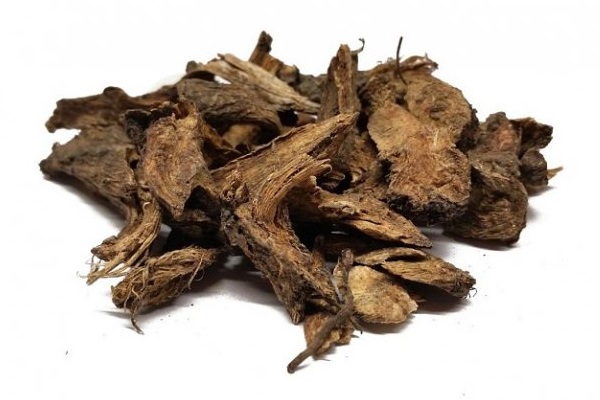 Полезный для иммунитета девясил