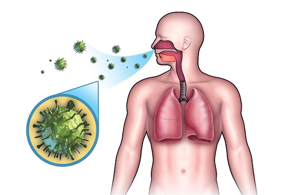 Иммунитет против туберкулеза