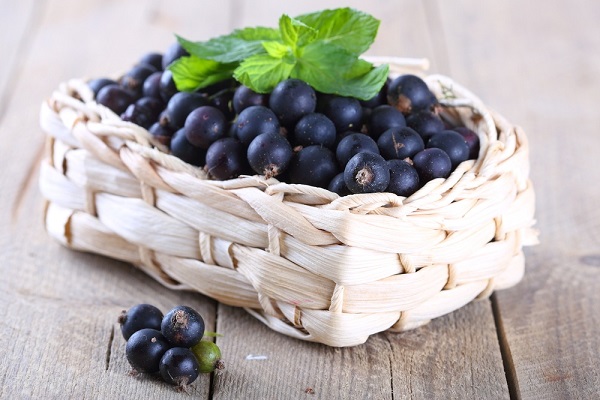 Черная смородина