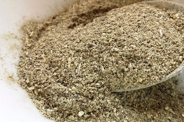 Полезный для иммунитета порошок кыст аль-хинди