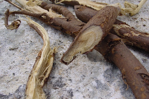 Корень солодки