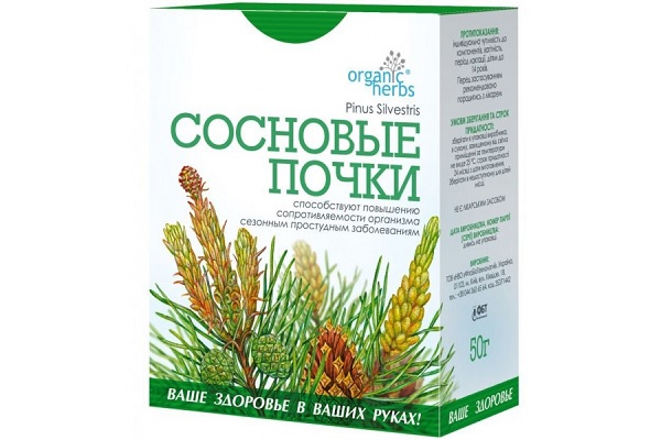 Сосновые почки