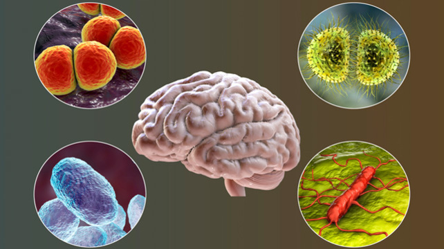 уникальный