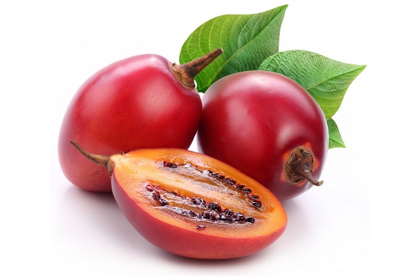 Напиток из шиповника