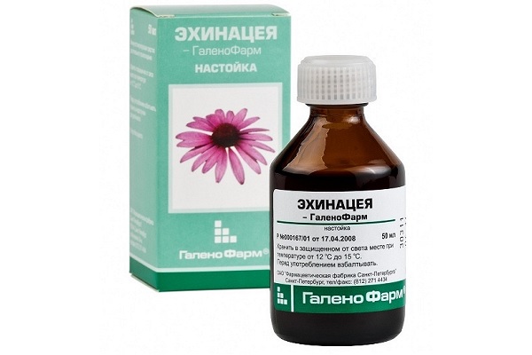 Настойка эхинацеи для иммунитета