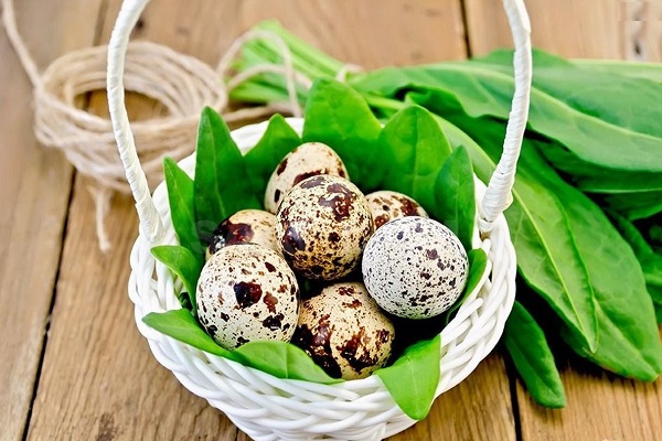 Перепелиные яйца