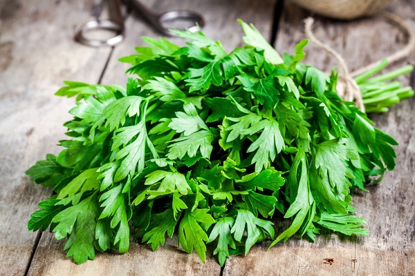 Петрушка полезная при простатите