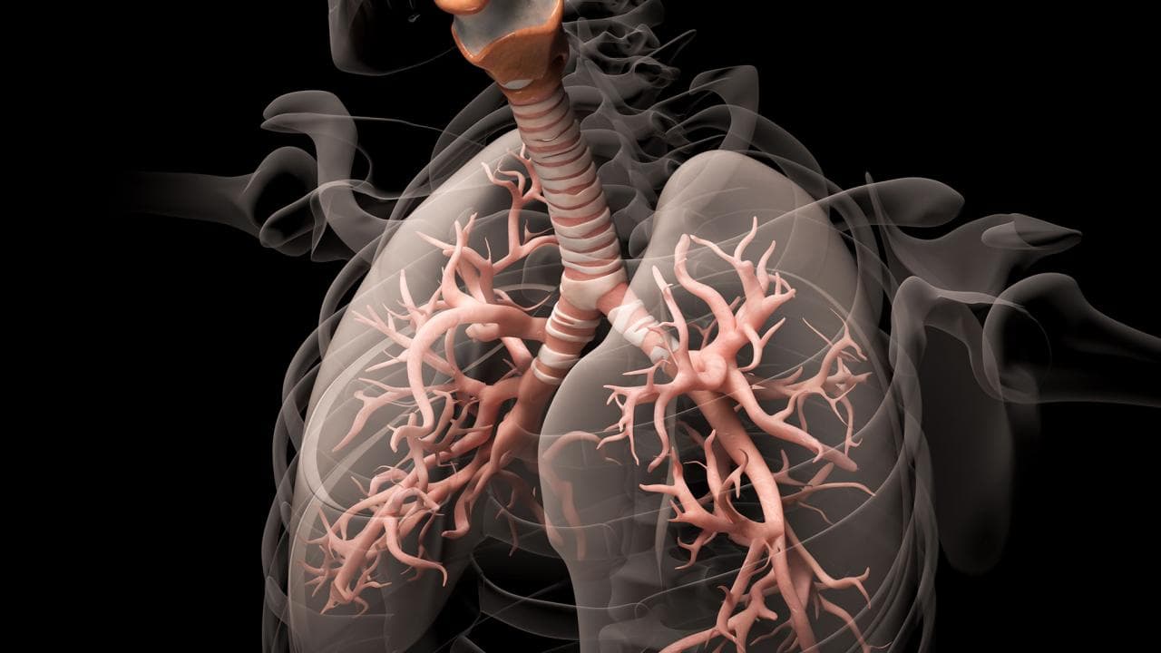 Легкие человека и спорт