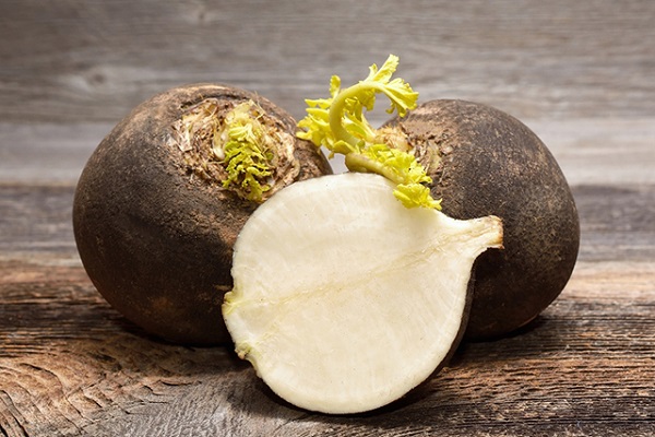 Полезная для здоровья редька