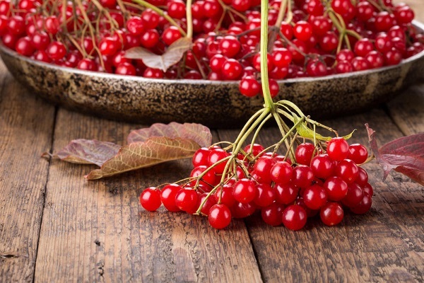 Рецепты на основе калины