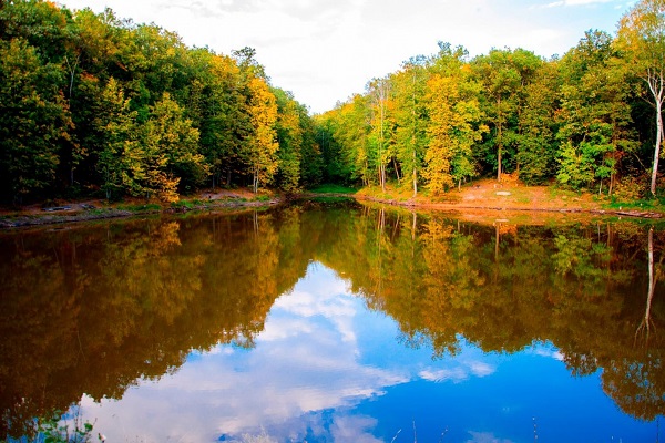 Отдых в Хопровских зорях