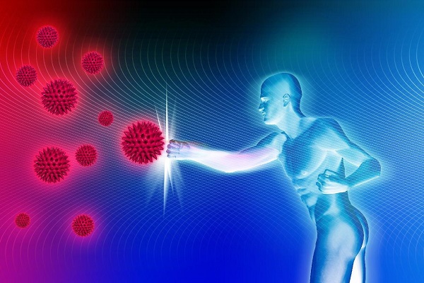 Как выглядит иммунитет?