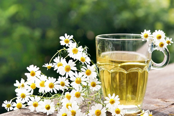 Ромашковый чай