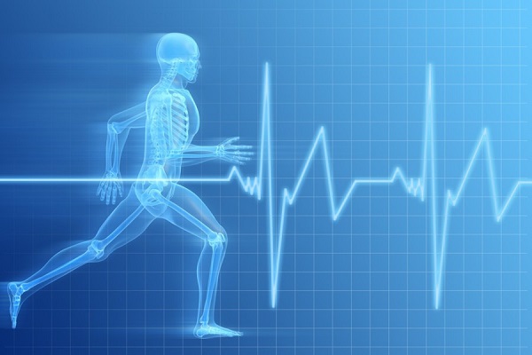 Проверка иммунитета