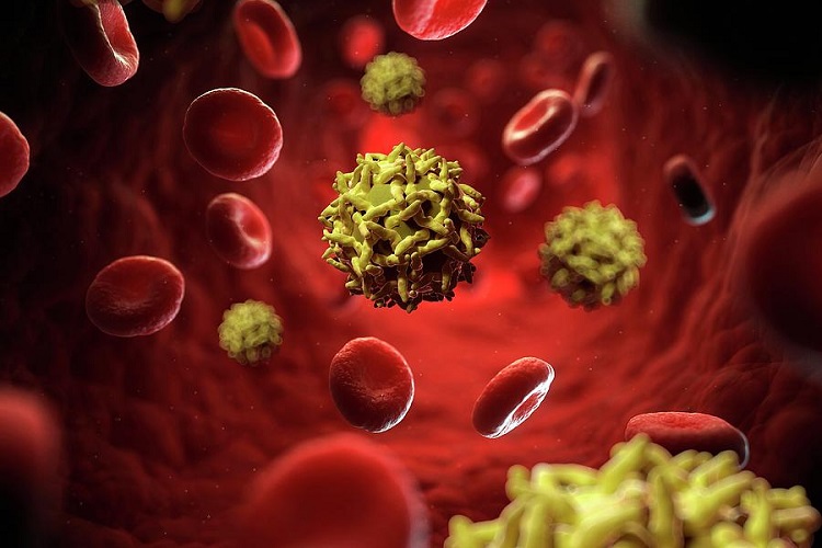 Вирус желтой лихорадки