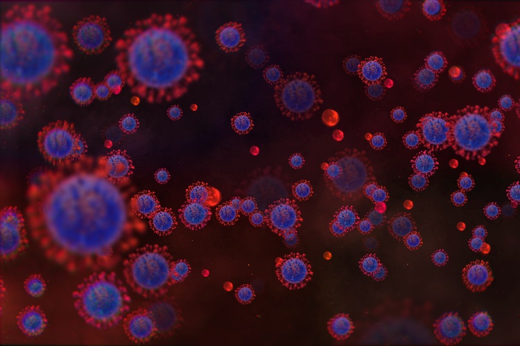 Вирусная болезнь краснуха