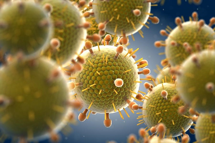 Визуализация парамиксовируса