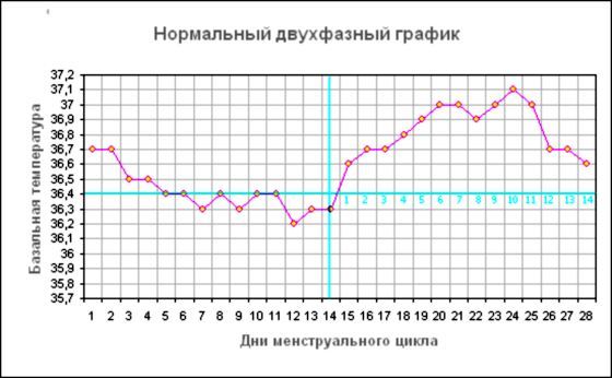 Как правильно считать цикл месячных