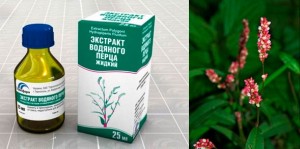 Настойка водяного перца в критические дни